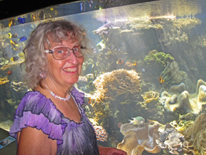 Waikiki Aquarium - Coral reef